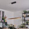 Fugelsta Pendelleuchte LED Schwarz, 1-flammig