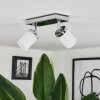Cerejeiras Deckenleuchte LED Chrom, 2-flammig, Fernbedienung, Farbwechsler