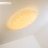 Trio Leuchten NAGANO Deckenleuchte LED Weiß, 1-flammig, Fernbedienung, Farbwechsler