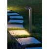 Reality Esquel Solar-Wegeleuchte LED Anthrazit, 1-flammig, Bewegungsmelder