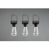 Reality Campus Solarleuchte LED Schwarz, 3-flammig
