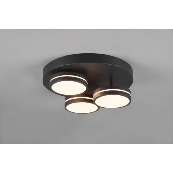 Trio Franklin Deckenleuchte LED Anthrazit, 3-flammig