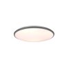 Reality Limbus Deckenleuchte LED Titan, 1-flammig