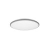 Reality Limbus Deckenleuchte LED Titan, 1-flammig
