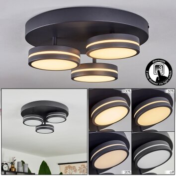 Huallilemu Deckenleuchte LED Schwarz, 3-flammig