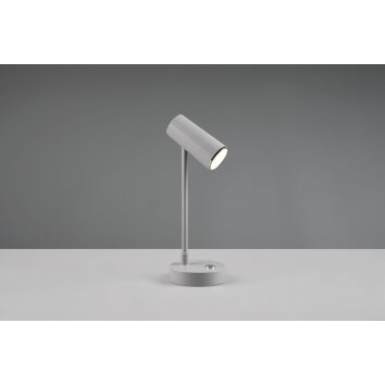 Reality Lenny Tischleuchte LED Grau, 1-flammig