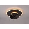 Reality Nybro Deckenventilator LED Schwarz, 1-flammig, Fernbedienung