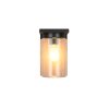 Trio ARDILA Wandleuchte Holz hell, 1-flammig