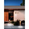 Trio SALMON Wandleuchte LED Holz hell, 1-flammig
