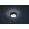 Trio HONDO Decken- Wandleuchte LED Anthrazit, 1-flammig