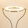 Donna Deckenfluter LED Nickel-Matt, 1-flammig