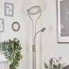 Donna Stehleuchte LED Nickel-Matt, 2-flammig