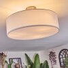 Foggia Deckenleuchte 40 cm Nickel-Matt, 3-flammig