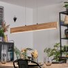 Fugelsta Pendelleuchte LED Schwarz, 1-flammig