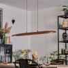 Fugelsta Pendelleuchte LED Schwarz, 1-flammig