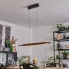 Fugelsta Pendelleuchte LED Schwarz, 1-flammig