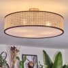 Foggia Deckenleuchte 50 cm Nickel-Matt, 3-flammig