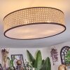 Foggia Deckenleuchte 50 cm Nickel-Matt, 3-flammig