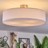 Foggia Deckenleuchte 50 cm Nickel-Matt, 3-flammig