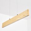 Fugelsta Pendelleuchte LED Schwarz, 1-flammig