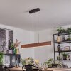 Fugelsta Pendelleuchte LED Schwarz, 1-flammig