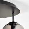 Gastor Deckenleuchte Glas 15 cm Rauchfarben, 5-flammig