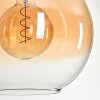 Koyoto Hängeleuchte Glas 30 cm Gold, Schwarz, 1-flammig