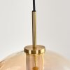 Koyoto Hängeleuchte Glas 30 cm Gold, Schwarz, 1-flammig