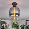 Apedo Deckenleuchte Glas 20 cm Klar, Rauchfarben, 1-flammig
