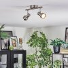 Edain Deckenleuchte LED Chrom, Nickel-Matt, 2-flammig
