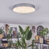 Elmar Deckenleuchte LED Silber, 1-flammig