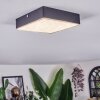 Esmar Deckenleuchte LED Schwarz, 1-flammig