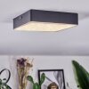 Esmar Deckenleuchte LED Schwarz, 1-flammig