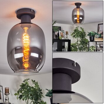 Apedo Deckenleuchte Glas 20 cm Rauchfarben, 1-flammig