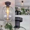 Apedo Deckenleuchte Glas 20 cm Klar, 1-flammig