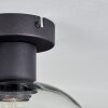 Apedo Deckenleuchte Glas 20 cm Klar, 1-flammig