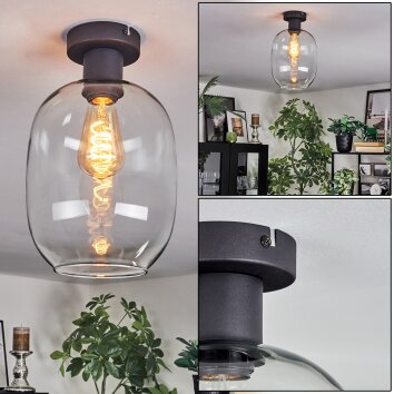 Apedo Deckenleuchte Glas 20 cm Klar, 1-flammig