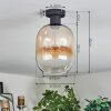 Apedo Deckenleuchte Glas 20 cm Bernsteinfarben, Klar, 1-flammig