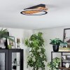 Pompu Deckenleuchte LED Naturfarben, Schwarz, 1-flammig