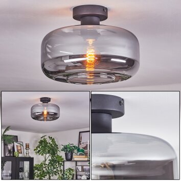 Boza Deckenleuchte Glas 28 cm Rauchfarben, 1-flammig
