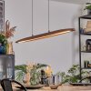 Fugelsta Pendelleuchte LED Schwarz, 1-flammig