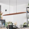 Fugelsta Pendelleuchte LED Schwarz, 1-flammig