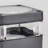 Tureby Außenwandleuchte Anthrazit, Transparent, Klar, 2-flammig