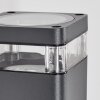 Tureby Außenwandleuchte Anthrazit, Transparent, Klar, 2-flammig