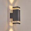 Tureby Außenwandleuchte Anthrazit, Transparent, Klar, 2-flammig