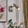 Firan Wandleuchte LED Chrom, Nickel-Matt, 1-flammig