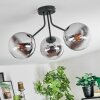 Gastor Deckenleuchte Glas 15 cm Chrom, Klar, Rauchfarben, 3-flammig