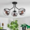 Gastor Deckenleuchte Glas 15 cm Chrom, Klar, Rauchfarben, 3-flammig