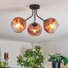 Ripoll Deckenleuchte Glas 15 cm Klar, Kupferfarben, 3-flammig