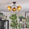 Koyoto Deckenleuchte Glas 15 cm Gold, Klar, 3-flammig
